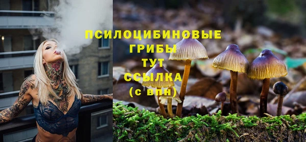 хмурый Михайлов