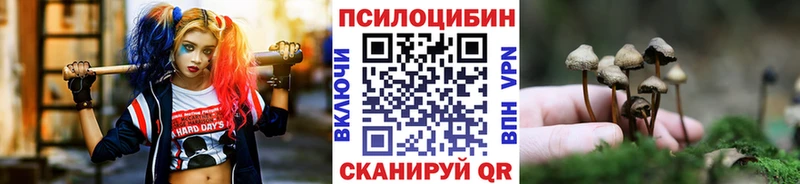 Псилоцибиновые грибы Psilocybe  купить наркоту  Александровск 